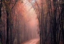 竞技宝官网：十人美因茨-弗赖堡，卡奇两助攻，库布勒扳平比分.