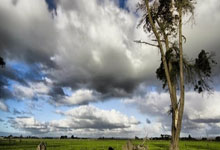 里夫斯45+7+7得分生涯新高 主场击败步行者.