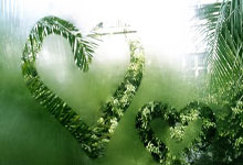 竞技宝官网：从“不适合打篮球”到杜锋最信赖的“外援”，徐杰化泪水为荣光！.